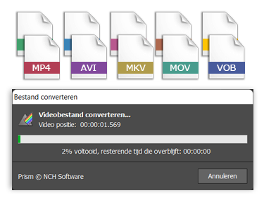 Download Prism Video Converteer Software