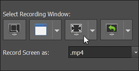 Step 2: Select recording window