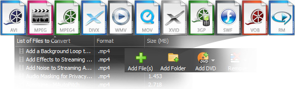 Prism Video File Format Converter Software video types screenshot